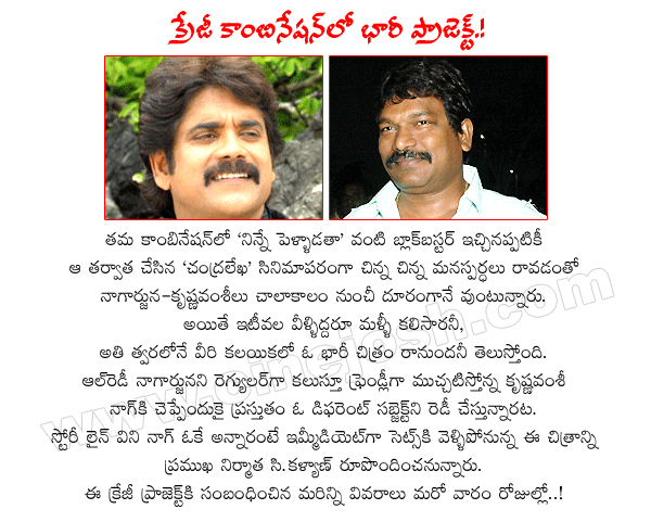 crazy combo,akkineni nagarjuna,krishnavamsi,ninnepelladatha combo strikes again,hero nagarjuna,director krishnavamsi,producer c.kalyan,nag latest movie,nagarjuna movies  crazy combo, akkineni nagarjuna, krishnavamsi, ninnepelladatha combo strikes again, hero nagarjuna, director krishnavamsi, producer c.kalyan, nag latest movie, nagarjuna movies